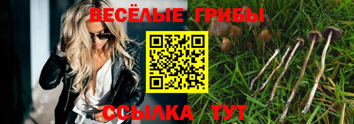 Горячий Ключ  Псилоцибиновые грибы Psilocybe  Галлюциногенные грибы ЛСД  Вход с VPN 